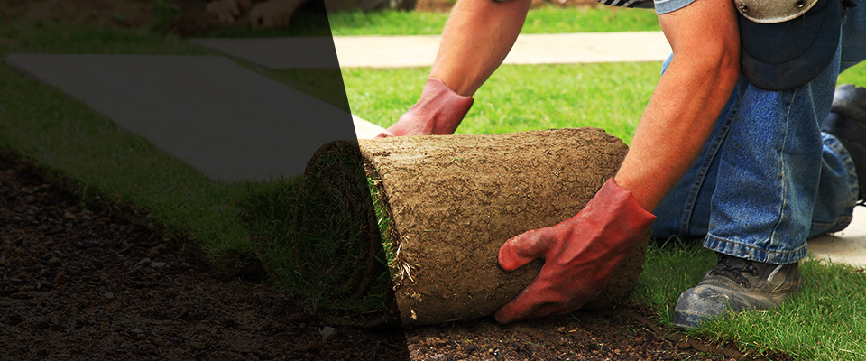 Bluff City Landscapers